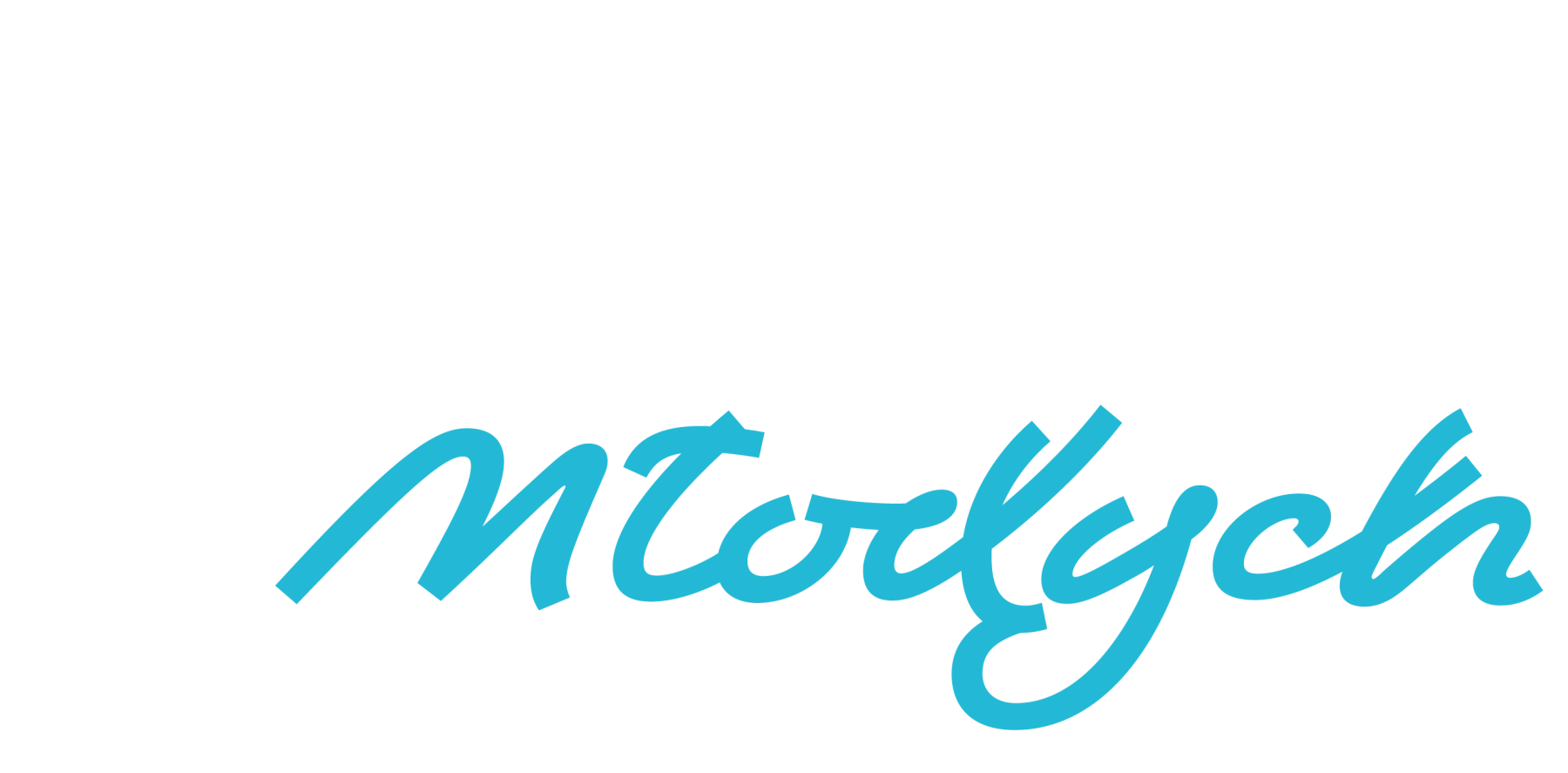 Strefa Młodych Festiwal